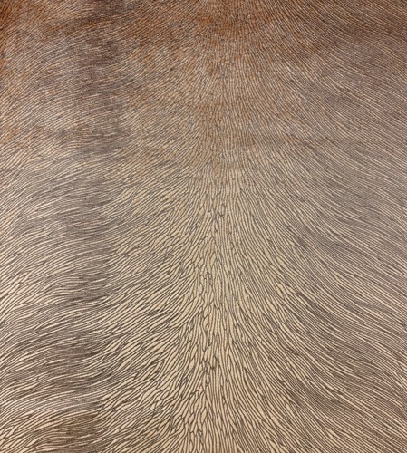 Kai allegra plaster - allegra, fur