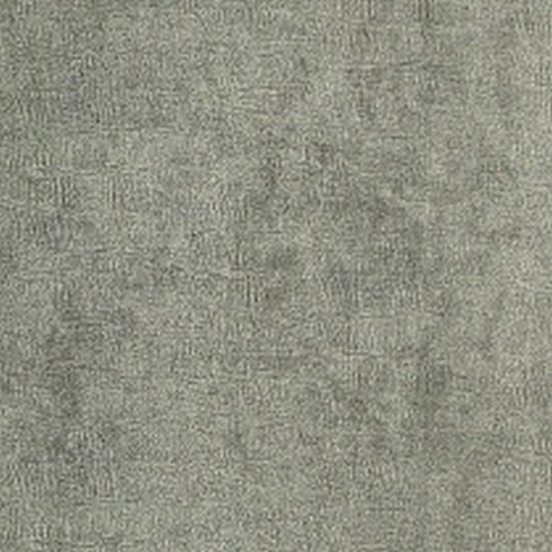 Wemyss thebe bark large - -,